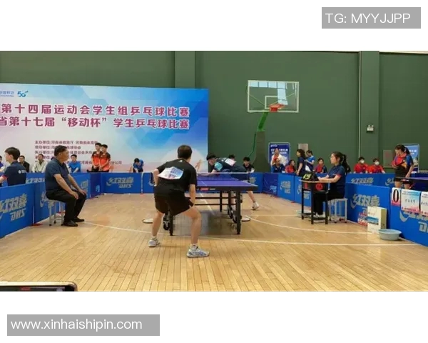 全运会特别报道:南京羽毛球队如何实现历史性突破与辉煌成就